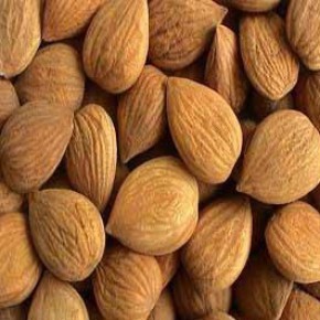 臨安市株柳食品廠代理代辦服務指南